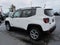2019 Jeep Renegade Limited